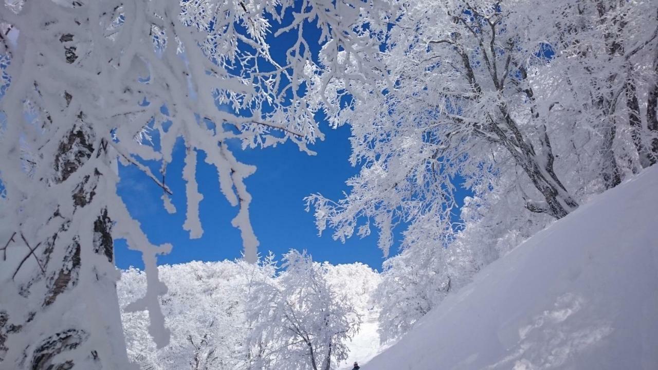 Nozawa Dream Central Екстериор снимка