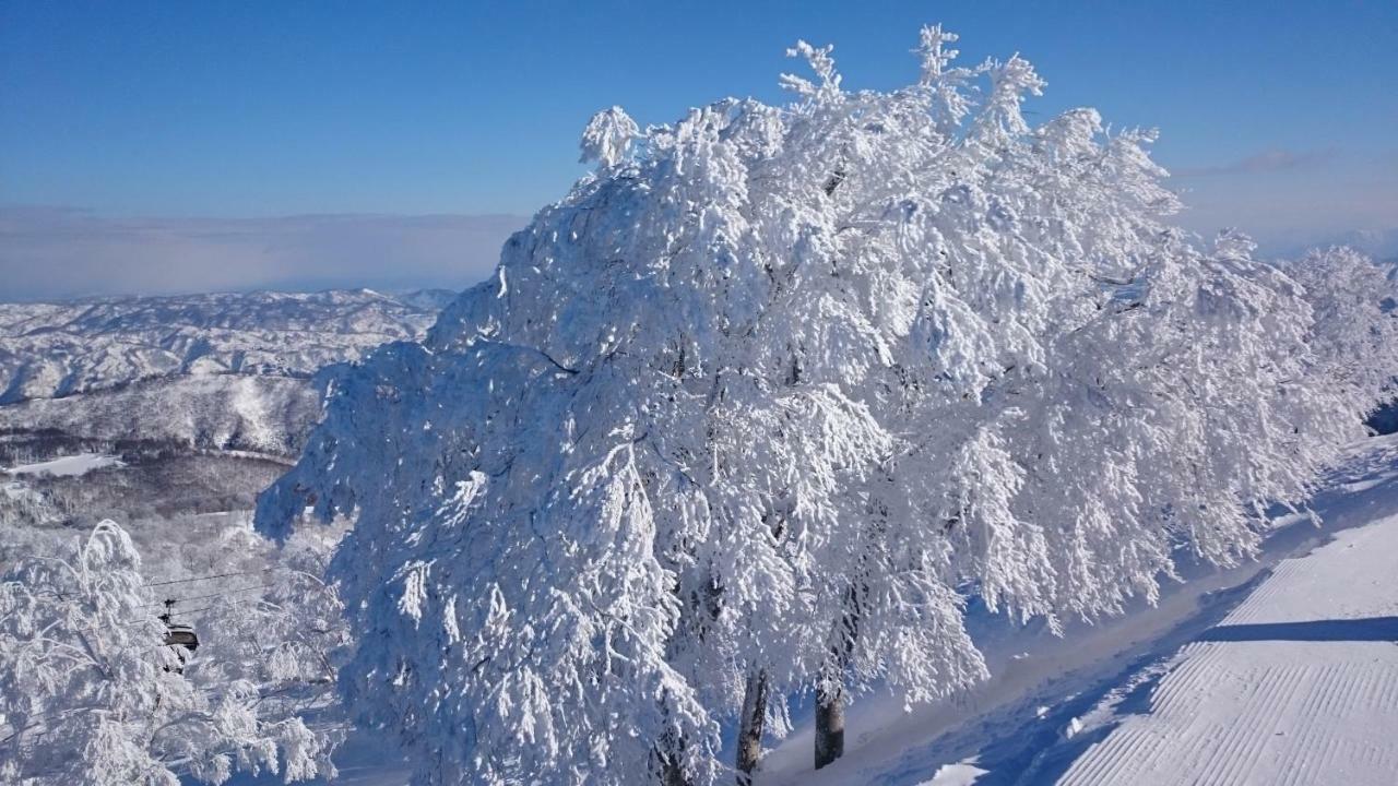 Nozawa Dream Central Екстериор снимка