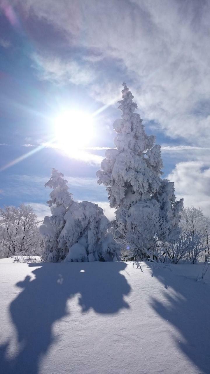 Nozawa Dream Central Екстериор снимка