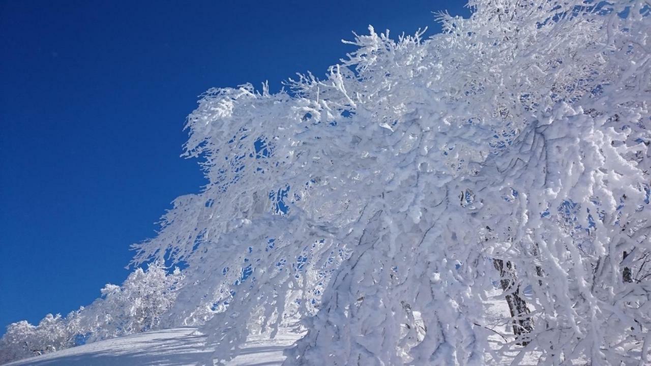 Nozawa Dream Central Екстериор снимка